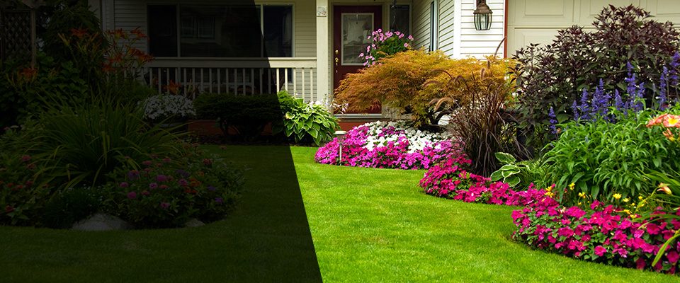 Randall Landscapers