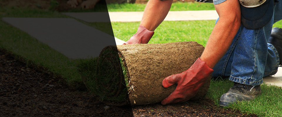 Randall Landscapers